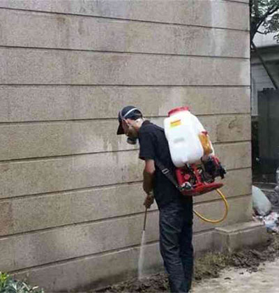 郫縣除四害，龍泉除四害
