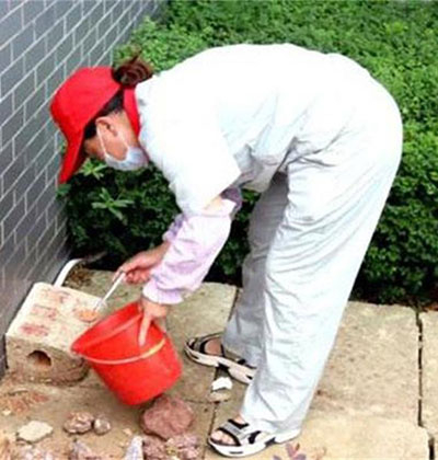 成都滅鼠除蟲公司，成都滅鼠滅蟑