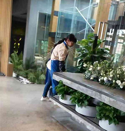 郫縣保潔，龍泉保潔