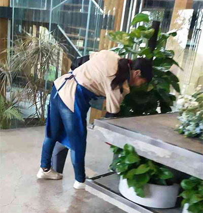 都江堰日常保潔，南充日常保潔，簡陽日常保潔，新都日常保潔